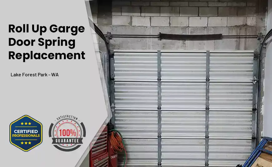 Roll Up Garage Door Spring Replacement Lake Forest Park - WA 